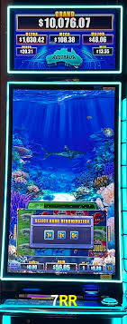 A Experiência Imersiva dos Cassinos Ao Vivo no 7RR